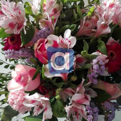 A domanda risposta TI ASPETTO