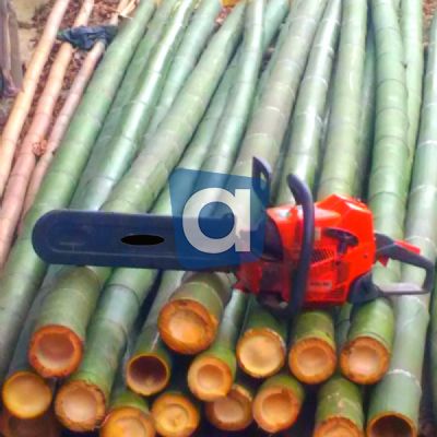 Canne di bambù bambu con diametro da 1 a 10 cm