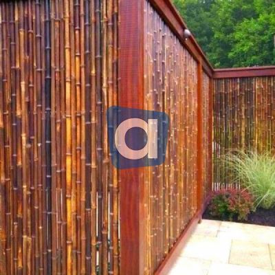 Vendo canne di bambù bambu con diametro da 1 a 10 cm